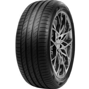 Pneumatico Delinte DS3 SUV 265/50 ZR20 111W 111W
