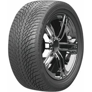 Pneumatico Greentrac Winter Master D1 195/55 R16 87H