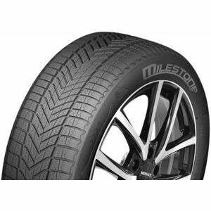 Pneumatico Milestone MW01 225/75 R16 121R
