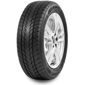 Pneumatico Davanti Wintoura 175/65 R14 86T