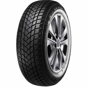Pneumatico GT-Radial Winterpro 2 EVO 215/65 R16 98H