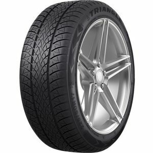 Pneumatico Triangle Winter X TW401 195/55 R16 91H