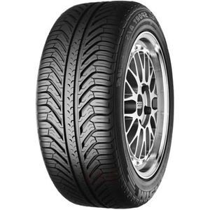 Pneumatico Michelin Pilot Sport A/S + 255/45 R19 100V