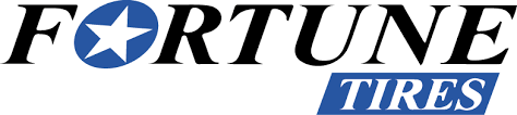 Fortune logo